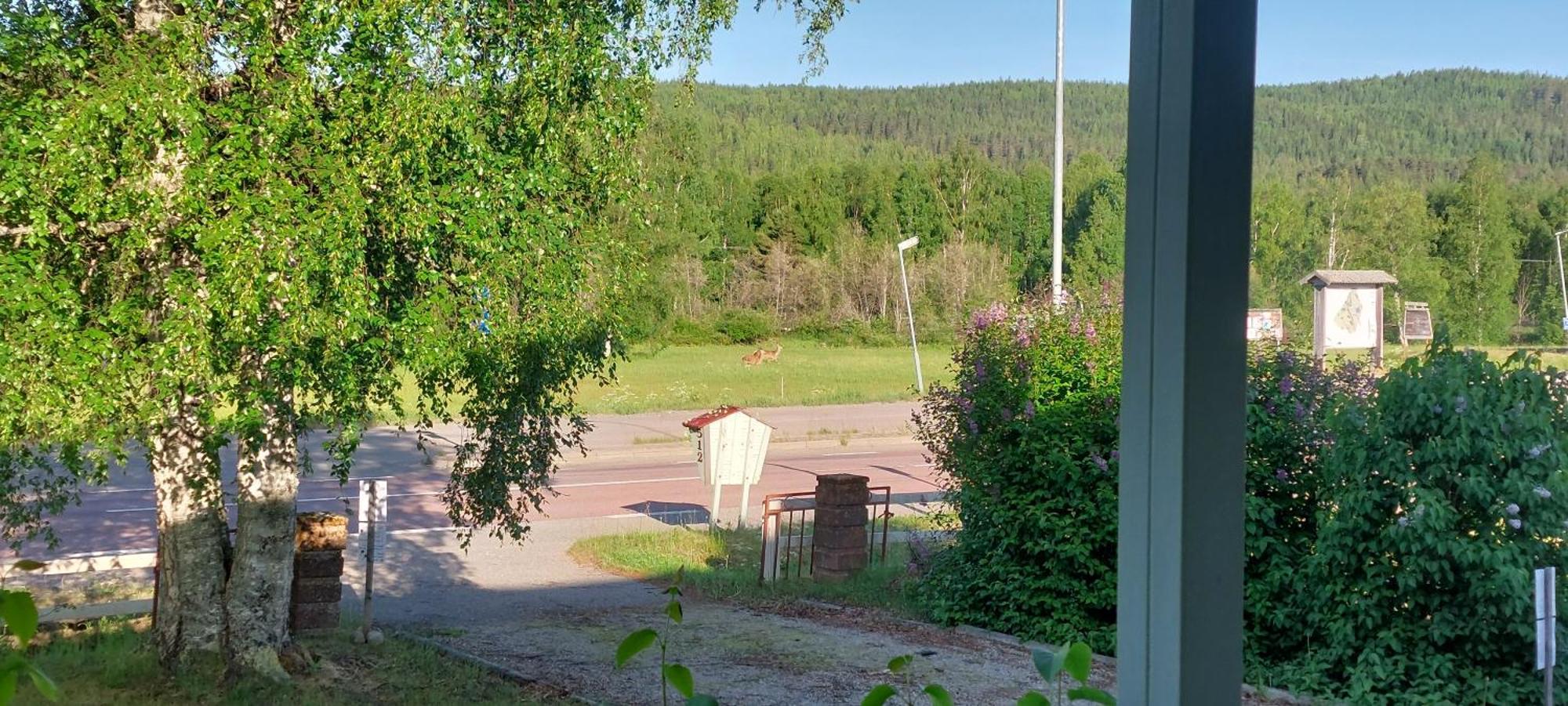 Guestrooms At Forest Family